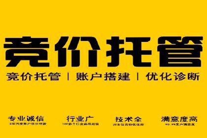 竞价托管服务在电商领域的成功应用